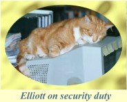 Elliott on security duty